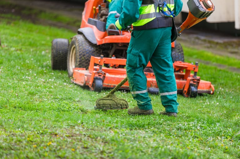 Lawn care team at work