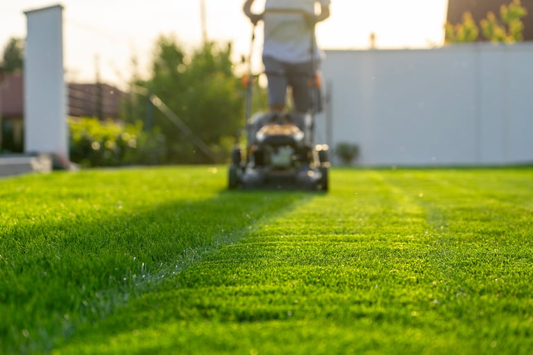 Lawn care maintenance