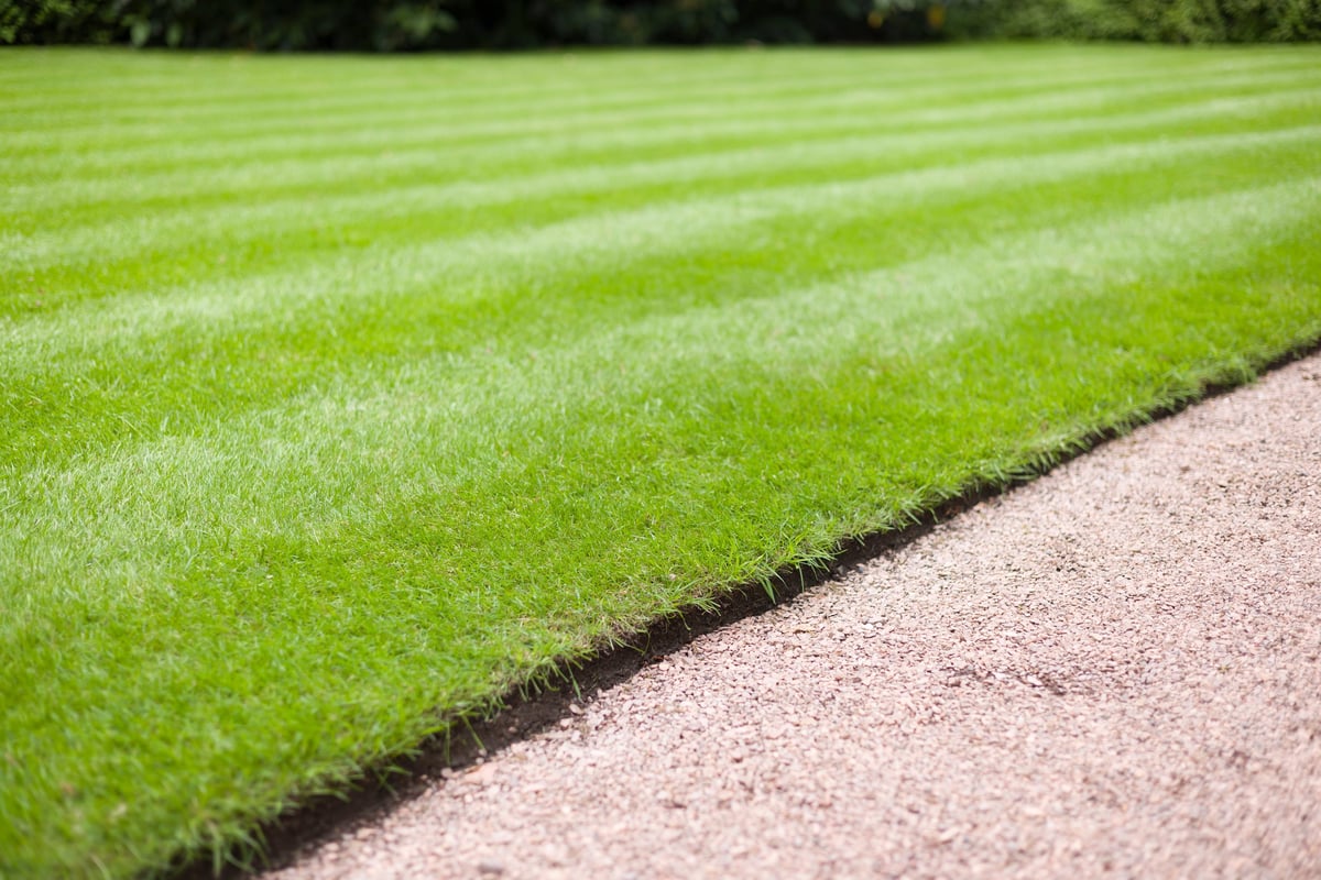 Beautiful landscaped lawn with trimmed hedges in Plantation