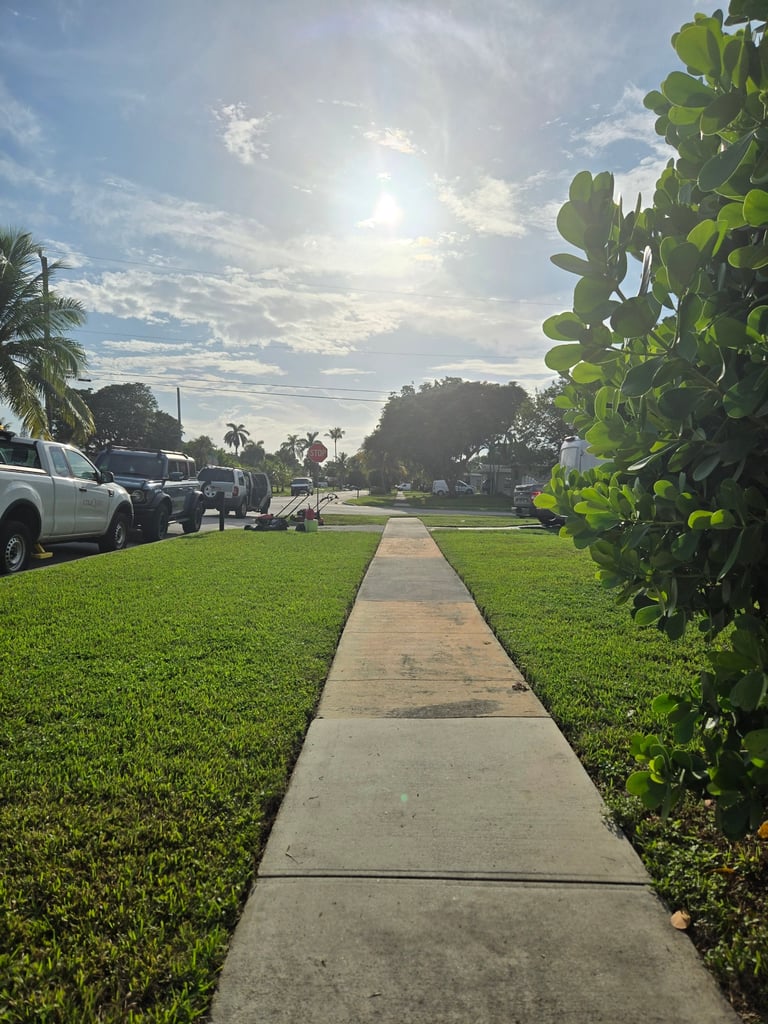 Straight concrete sidewalk between green lawn and tropical vegetation leading toward a residential street with parked cars and palm trees under a blue sky