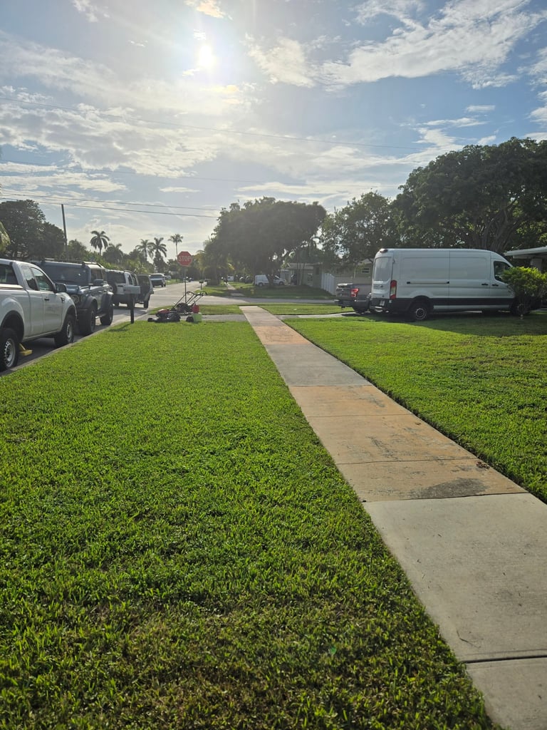 Suburban street with green lawn, concrete sidewalk, parked vehicles, and palm trees under partly cloudy sky