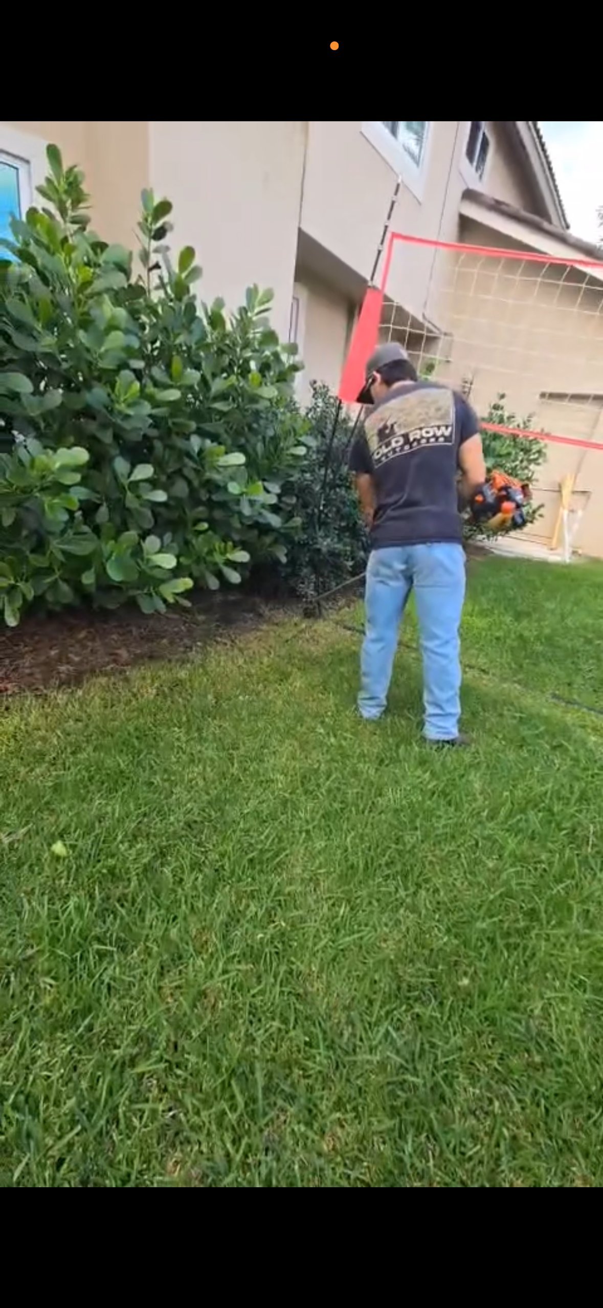 Person in dark shirt and jeans standing on green lawn next to large shrub and red garage door